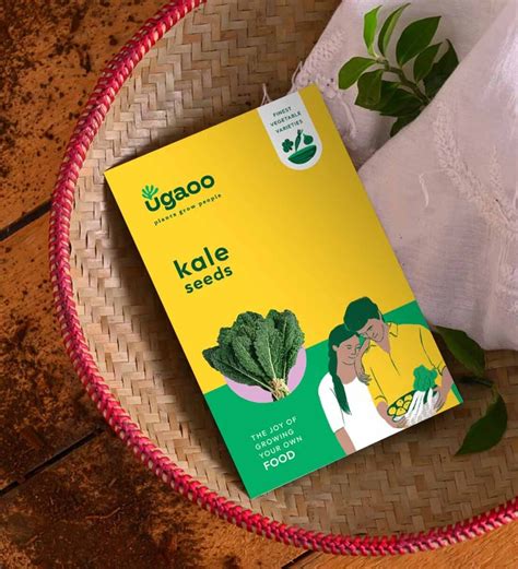 Buy Kale Seeds at 32% OFF by Ugaoo | Pepperfry