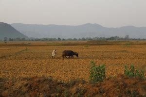 A Poor Scottish Farmer - Inspirational Short Stories and Quotes