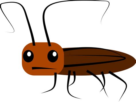 Transparent Cockroach Png Clipart - Full Size Clipart (#5365738 ...