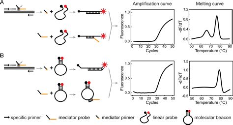 Highly multiplex PCR assays by coupling the 5′-flap endonuclease ...