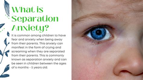 How to Manage Your Child’s Separation Anxiety – Haymarket Children's ...