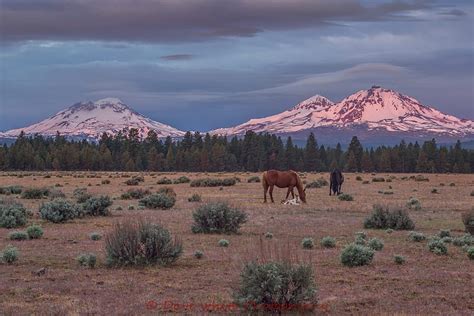 1080P free download | Three Sisters, Oregon, mountain, forest, nature ...