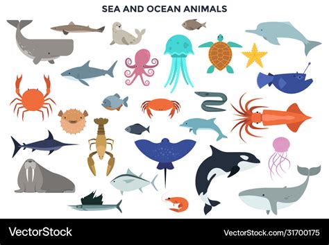 Set water and ocean animals Royalty Free Vector Image