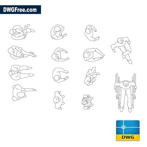 Ekonomik eksen diş human top view dwg kalıcı mat solucan