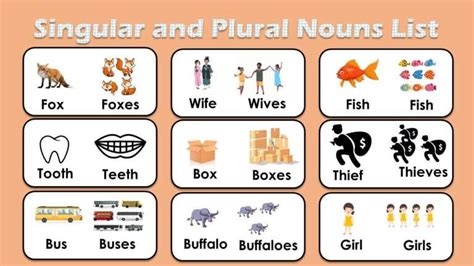 Singular and Plural nouns list with Pictures & PDF - Engdic