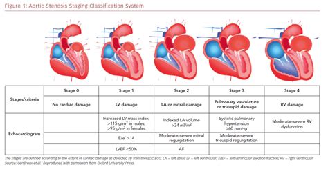 Aortic Stenosis Staging Classification System | Radcliffe Cardiology