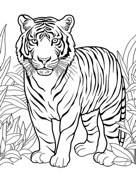 Jungle Animal Coloring Pages For Kids