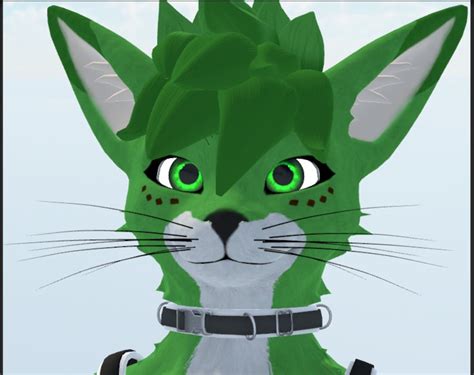 Furry Vrchat Avatar Retextures - Etsy