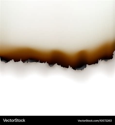 Burned paper edges on white background Royalty Free Vector