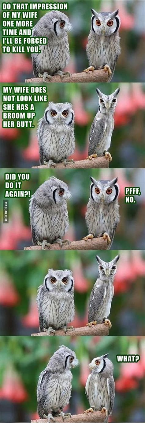 Do that impression of my wife one more time... | Funny birds, Funny ...