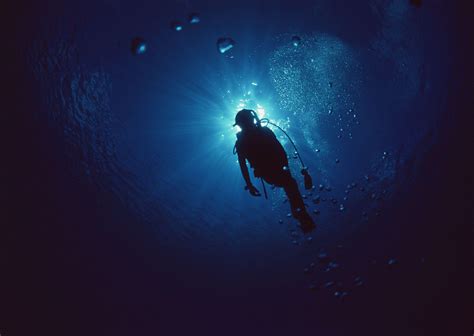 Diving Hd Wallpapers Background Images Wallpaper Abyss | The Best Porn ...