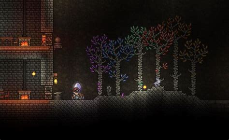 Terraria: How to Grow Gem Trees & Plant Gemcorns