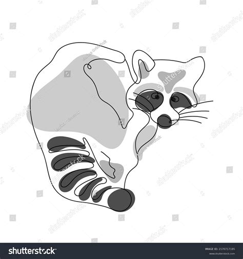 Raccoon Line Art Drawing Added Color Stock Vector (Royalty Free ...