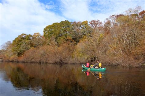 Kayaking, Tubing, Paddleboarding | Dorchester County, SC website