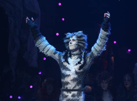 Image - Munkustrap Andy Huntingon Jones 16.png | 'Cats' Musical Wiki ...