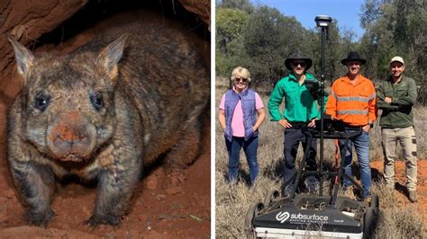 Australian Wildlife Conservancy, The Wombat Foundation and Subsurface ...