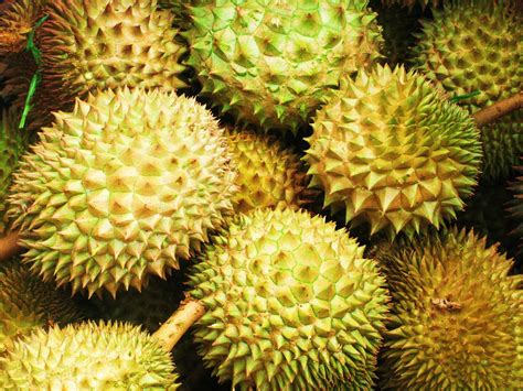 The Global Gamine: Durian Tasting