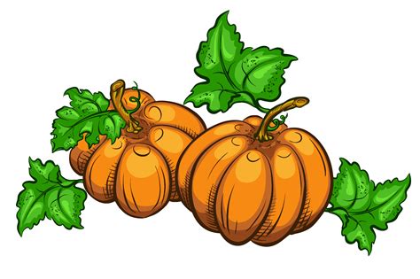 Pumpkin Plant Clipart | Free download on ClipArtMag