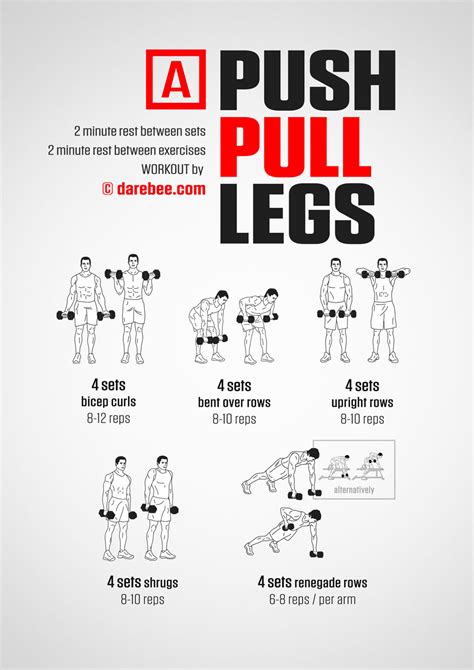 Push Pull Legs Routine Yash Birla Birla Healthcare, 42% OFF