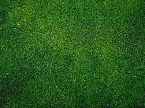 Green Grass Background Powerpoint Themes - Bank2home.com