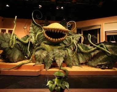 Audrey II - Little Shop of Horrors Photo (6641481) - Fanpop