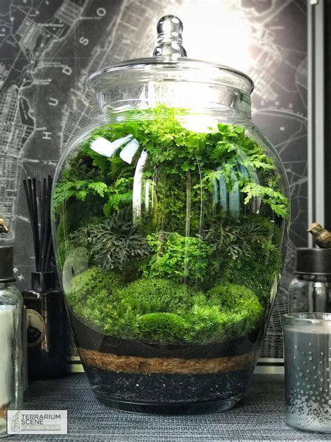 Terrarium #TurtleTerrariumIdeas | Garden terrarium, Terrarium ...