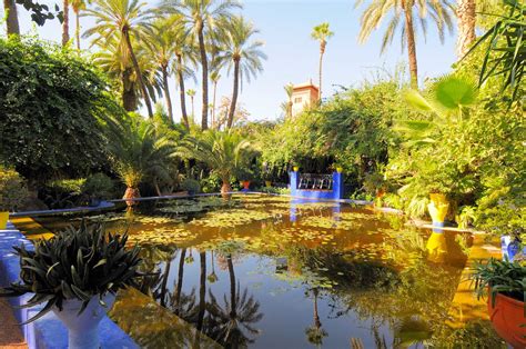 Jardin Majorelle - Marrakech, Morocco – CELLOPHANELAND*