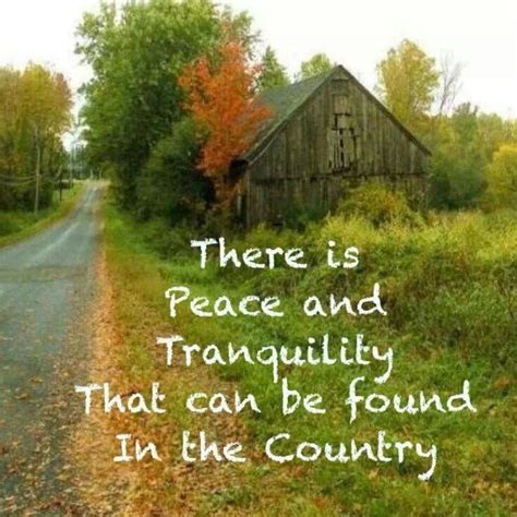 Quotes about City and country life (38 quotes)