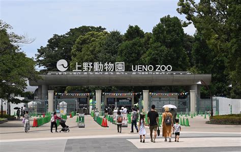 Ueno Zoological Gardens | Tokyo Attractions | Travel Japan | JNTO