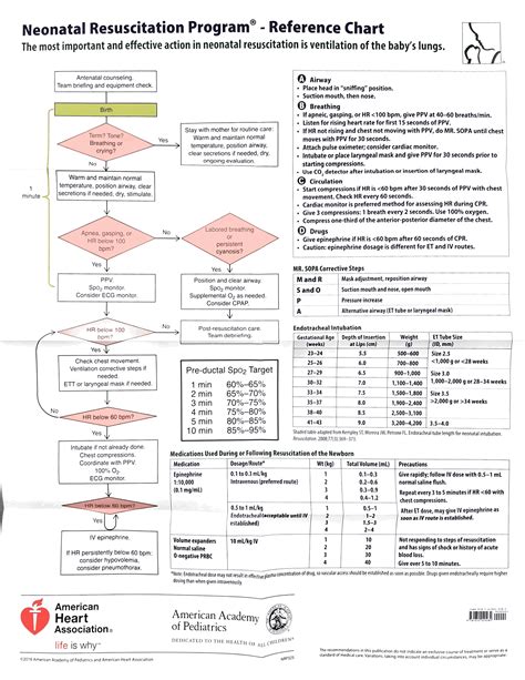 Printable Nrp Algorithm