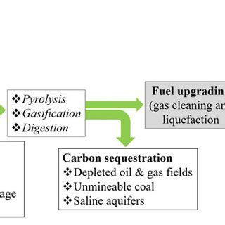 1 (a) The primary category of biofuel and its sources of production ...