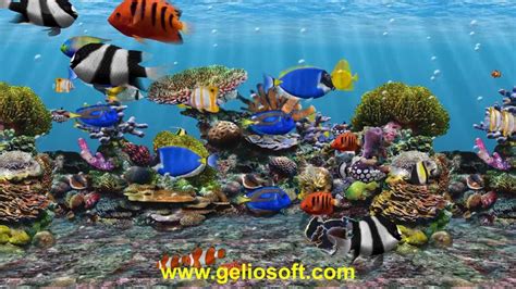 Animated Fish Screensaver Wallpaper | Image Wallpapers HD