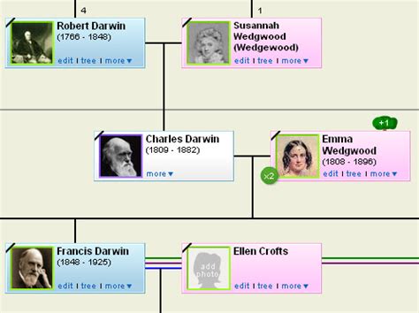 Darwin Family Tree