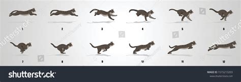 Cat Run Cycle Animation Sequence Animation Stock Vector (Royalty Free ...