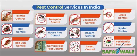 Best Pest Control Services In Bangalore- Safaiwale