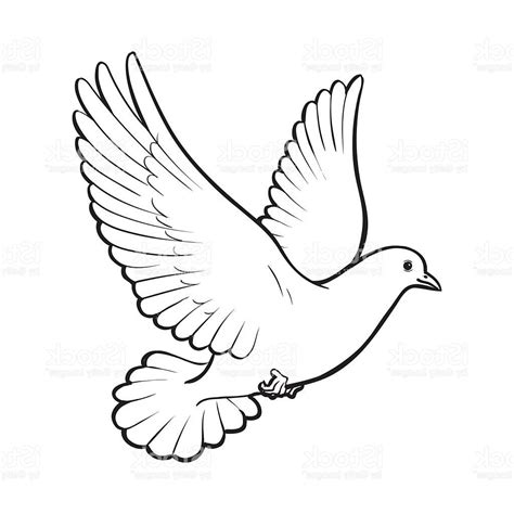 Dove In Flight Drawing at GetDrawings | Free download