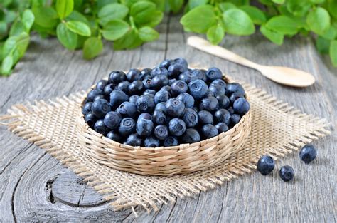 Bilberry Benefits for Weight Loss: The Definition Of ‘Tiny But Mighty ...