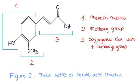 Ferulic Acid – Regimen Lab