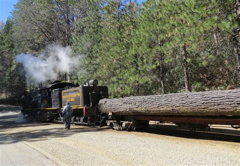 Where's Liz? 2016: Yosemite Mountain Sugar Pine Railroad