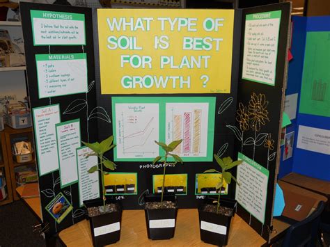 Science Fair Ideas Plants