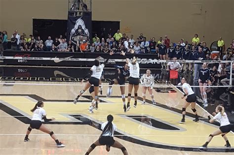 Purdue Volleyball: NCAA Tournament Preview - Hammer and Rails