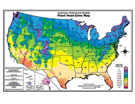 Plant Hardiness and Climate Zones | Pro 1 Landscaping