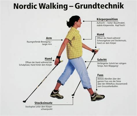 nordic walking technique | Nordic walking, Ganzkörpertraining, Walking