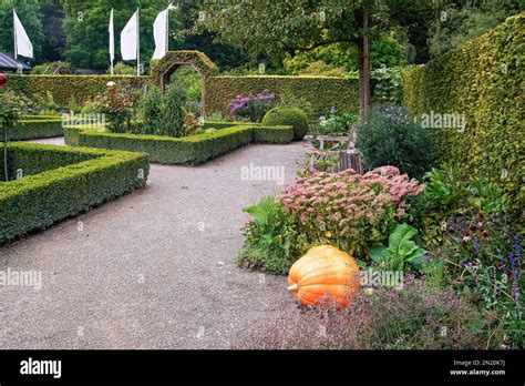 Huge pumpkin in the Augsburg botanical garden and topiary bushes ...