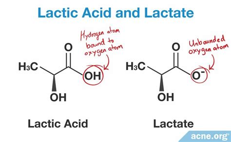 What Are the Chemical Structure of Lactic Acid and Lactate and How Is ...