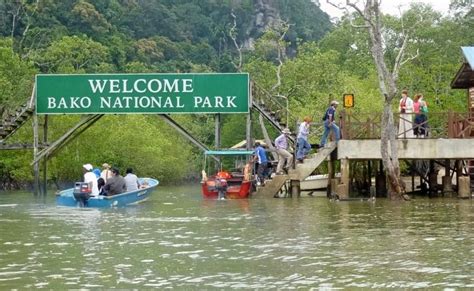 Day Trip To Bako National Park In Kuching, Malaysia. | National parks ...