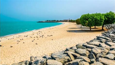 Best 8 Beaches in Kuwait: Enjoy a Relaxing Holiday in Charming Scenery