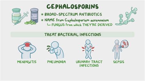 Antibiotics Cephalosporins: Nursing Pharmacology Osmosis, 46% OFF