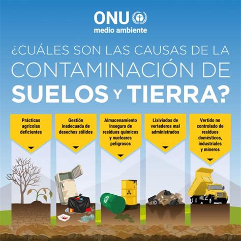 ¡Todas las cosas que debes saber sobre la Contaminación del Suelo!