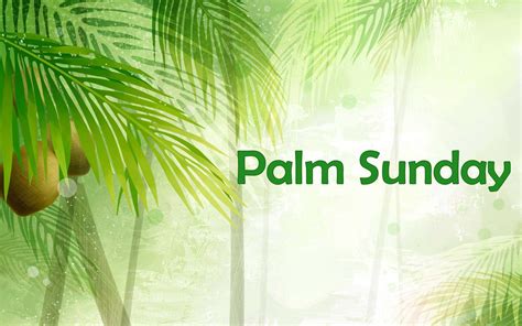 Palm Sunday Backgrounds